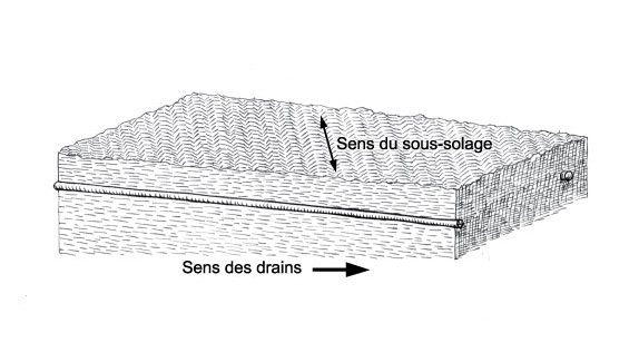 Direction de sous-solage transversale par rapport aux drains.jpg