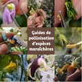 Couverture Guide pollinisation