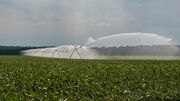 Irrigation Rampe en action Soya VA USDA