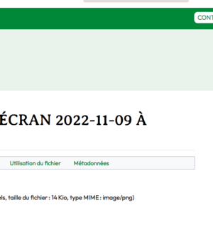 Capture d’écran 2022-11-09 à 10.16.31.png