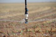 Irrigation Rampe Buses en action Texas NRCS