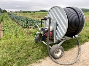Irrigation Canon enrouleur Côté Pleines saveurs GJutras 2021.jpeg