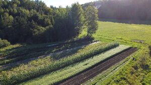 Parcelle Ferme Semences Nordiques.JPG