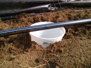 Irrigation Goutte-à-goutte Calibration GJutras 2016 01.jpg
