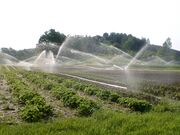 Irrigation Tuyaux aluminium Arrosage champ Vallon des sources 2007