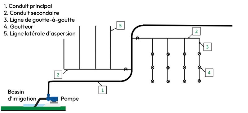 Fichier:Irrigation Schéma Système Conduits.jpg