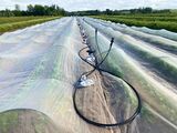 Irrigation Aspersion Bâches flottantes Jardin du Village GJutras 2021