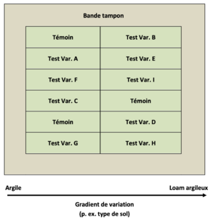 Essais variétaux Parcelle sans répétition.png