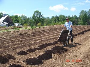 Épandage Compost Brouette Quatre-Temps 02.JPG