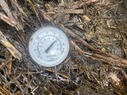 Thermomètre Compost 01